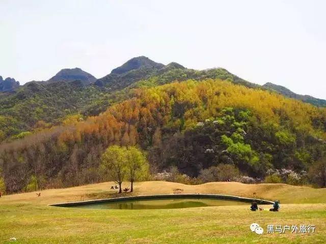 逃离水虎鱼湖